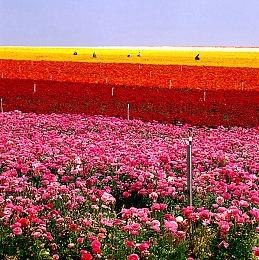 《Re:Fragment》Steam试玩发布 日式美少女视觉冒险